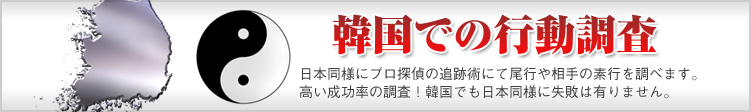 韓国で行う行動調査